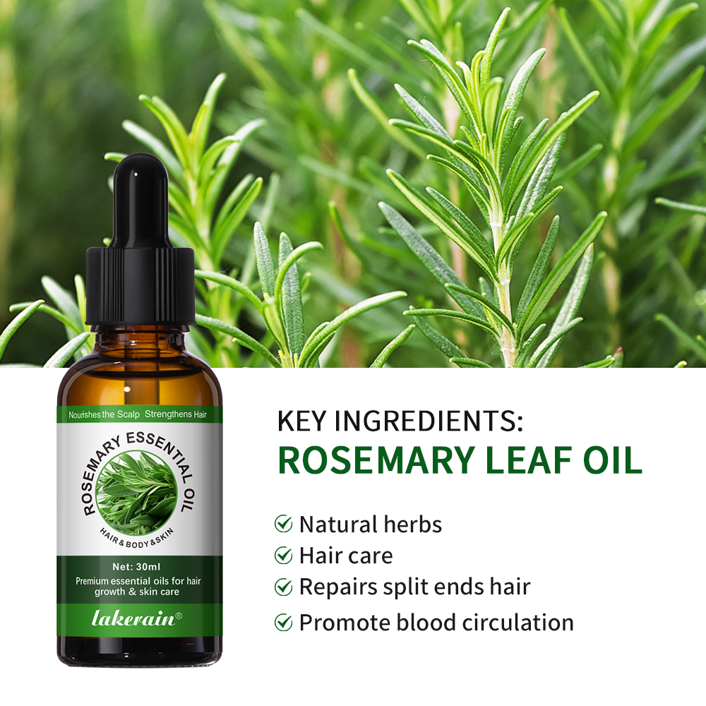 30ML Rosemary Hair Care Oil An – Hair Care For Hair Fall Bewertung und Preis